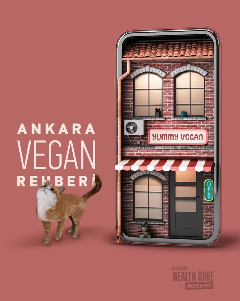 Ankara vegan rehberi