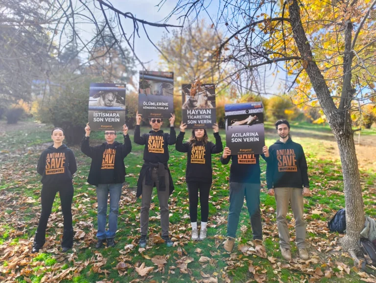 Dünya vegan günü vigil