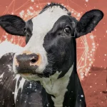 Sarah Rogers/MIT Technology Review | Getty Images