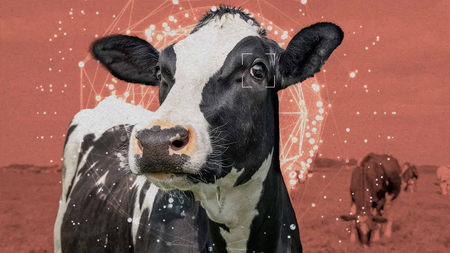 Sarah Rogers/MIT Technology Review | Getty Images